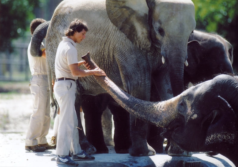 動物園