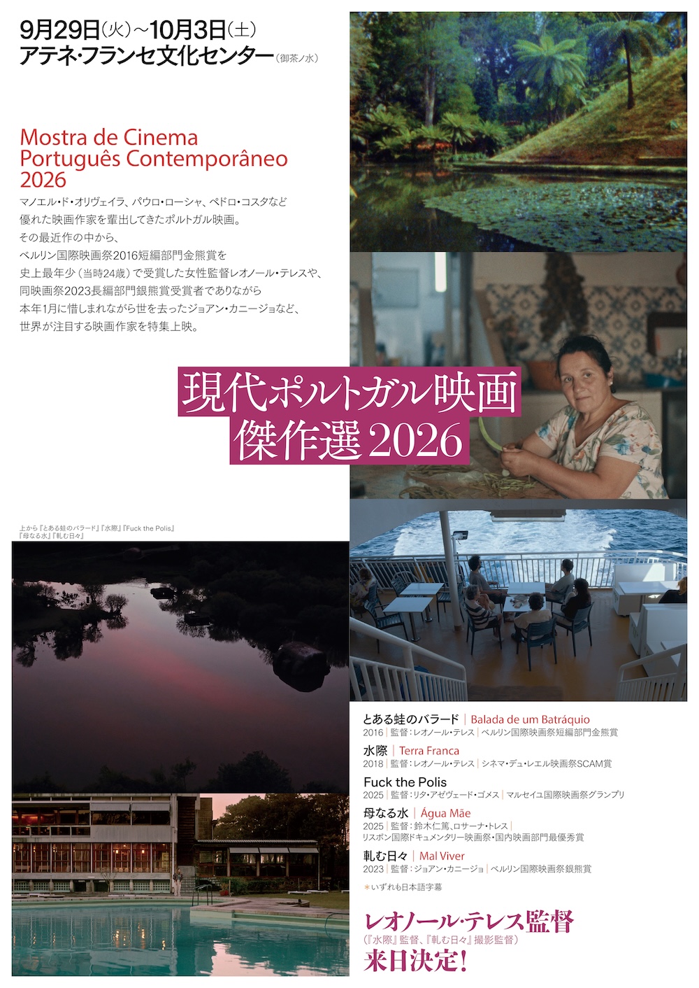 「現代ポルトガル映画傑作選2026」チラシ