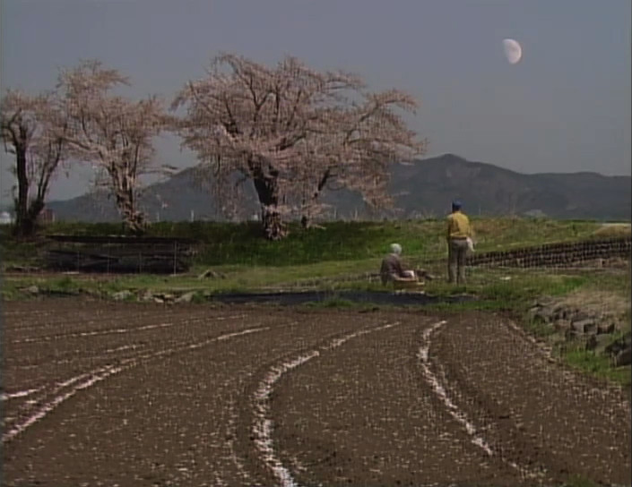 をどらばをどれ